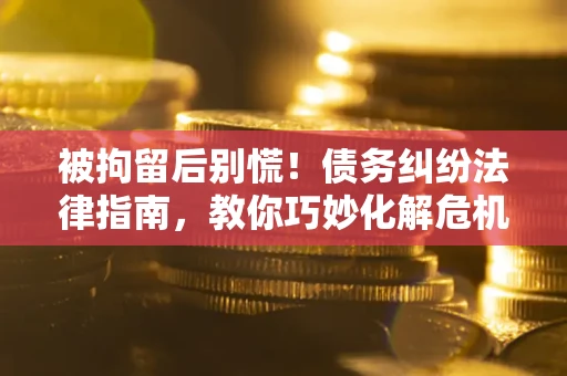 济南被拘留后别慌！债务纠纷法律指南，教你巧妙化解危机